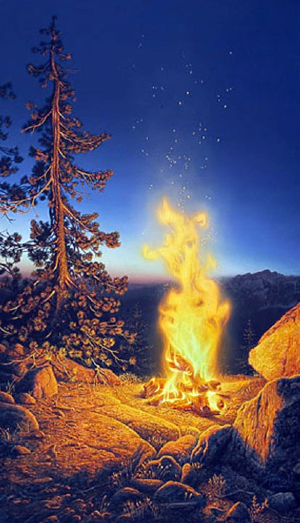 Sunset Fire